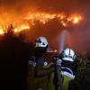 White Helmets Firefighting Teams Successfully Control Massive Forest Fire in Deir Othman, West of Idlib After 9 Hours of Nonstop Efforts