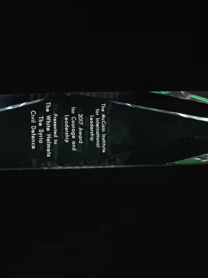 Mccain Award