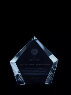 MEI Award 