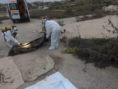 انتشال رفات أربعة أشخاص غير محمية من موقعين في ريفي حماة وإدلب