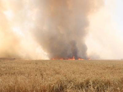 A Statement from White Helmets: Commitment to Extinguishing Agricultural Crop Fires and Safeguarding Food Security across Syrian Regions